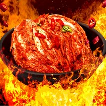 핫땡김치 2kg 국산 맛있는 매운 배추김치 총각김치 식자재마트 배추가격 겉절이 김장김치양념 봄동겉절이 깍두기 고랭지절임배추 알타리김치 김치전 김치볶음 [WB679A1], 쿠팡 1, 쿠팡 본상품선택