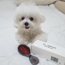 강아지 털갈이 빗 소형견 말티즈 포메 푸들 엘아미고 레드펄 펫 브러쉬