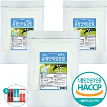 대용량 유청단백질 프로틴 파우더 보충제, 3팩, 500g