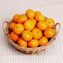 산지직송 서귀포 당도선별 타이벡감귤 12브릭스 이상, 4.5kg(로얄과)
