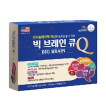 빅 브레인 큐 포스파티딜세린 은행잎추출물 비타민E 인지능력 기억력 개선 120캡슐 2개월분