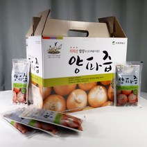 지리산 함양 양파즙 100ml x 50팩 물없이 양파엑기스 흥국농산