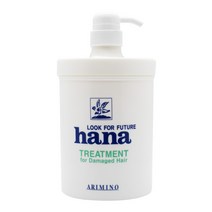 일진 아리미노 하나 트리트먼트 1000ml