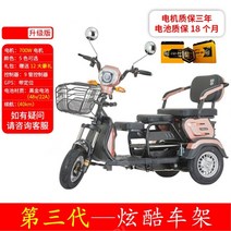 전동 삼륜 오토바이 삼륜차 출퇴근용 바이크 스쿠터, 700W+48V22A+9컨트롤러+포지셔닝