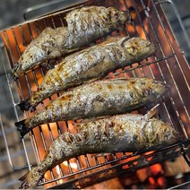 [다정한] 삼천포 자연산100% 전어 1kg (15내외), 단품