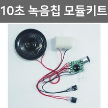 10초 녹음칩 모듈키트 초등과학 방과후학습 과학실험
