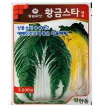 황금스타 배추씨앗 2000립 상품성이 우수하고 재배안정성이 좋은 절임 가을배추종자 흥농