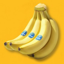 [무농약바나나] 소포장 유기농 바나나 500g(3-4입) 3팩, 유기농 바나나 500g X 3팩