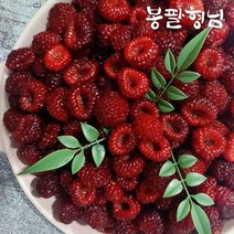 봉팔형님 새콤달콤 포항 산딸기 1kg 급냉 신선포장, 1개