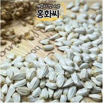 (세척해서 깨끗)볶은 홍화씨 100g, 단품