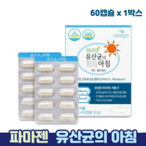 파마젠 유산균의아침 유산균 장까지 살아서 식물성 장용성 캡슐 장건강 플란타 유산균, 1박스, 유산균캡슐 60캡슐