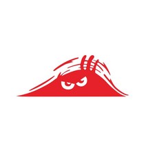 간지폭발 애완 동물 반사 자동차 스티커 오토바이 헬멧 악마의 눈 모양 바디 개인 장식 1 개, 11 Red 4