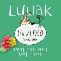 발효 커피 비건 인도네시아 루왁 커피 사향 고양이 보호 저카페인 부드러운 커피 드립백 홀빈 분쇄 가루 굵게 얇게 주문, 1kg, 홀빈(분쇄안함)