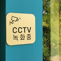 [미국직수입소재] 로마크 무광골드 CCTV촬영 표지판 예쁜간판 표찰 CCTV, M(13x13cm), CCTV_ B, 실버 무광