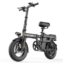 스프링안장전기자전거 zsun 서스펜션 미니벨로 2인용, 상세이페이지 참고, 충격흡수고속모터8AH전기약32KM48V