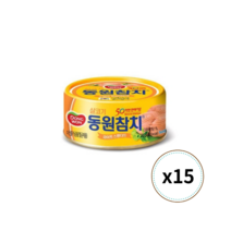 동원 라이트스탠다드참치 85g x 15캔, 15개
