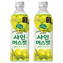샤인머스캣 알로에첨가 페트음료 500ml x 6개, 상세페이지 참조, 상세페이지 참조