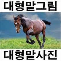 A012/인테리어소품/말그림/말사진/풍경사진/대형말그림