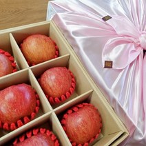 껍질째 먹는 선물용 괴산 사과 꿀사과 고당도 5kg, 특과5kg(11~13과), 보자기포장