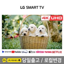 LG 65인치 4K 스마트 UHD TV 65UN7300 울트라HD, 1. 수도권역 스탠드 +HDMI 2.0