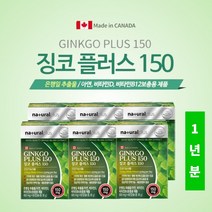 두뇌 머리 뇌혈관 확장 기억력 집중력 깜빡거림 뇌손상 브레인 개선 관리 에 좋은 은행잎 추출 징코 아연, 6BOX(1년분)