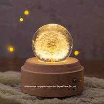 Couyor 민들레 오르골 원목 우드 나무 무드등 취침등 수정구 S M L, Castle in the Sky