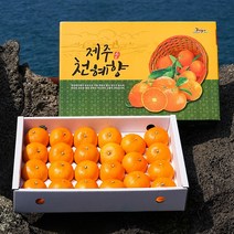 인하네 제주 천혜향 3kg 5kg 과일 선물 세트, 1박스, 천혜향_5kg_선물용(중향)
