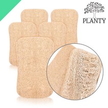 월드크린 천연수세미 둥근사각 5p 주방 설거지 탄냄비 다용도 루파 친환경 수세미, 천연수세미둥근사각5p