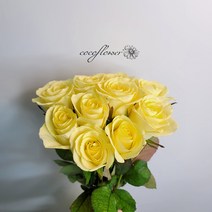 [코코 플라워] 연노랑 장미 생화택배 꽃배달싼곳 5송이 10송이
