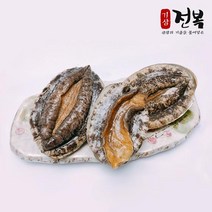 진도 기삼전복(실속형)1kg(18~20미내외), 단품