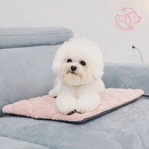 마이또 팻럽 반려동물 온열매트 전용커버, 블루 동그라미
