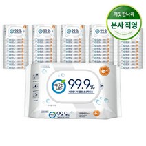 깨끗한나라 클린손소독 물티슈 휴대용 10매x50팩, 단일옵션