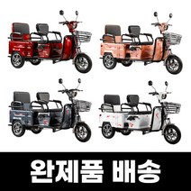 어르신 노인전동차 삼륜 세발 전기 오토바이 스쿠터 2인승, 로즈골드, 48V12A납축배터리(운행거리15km)