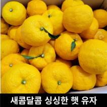 [국산/국내산] 무농약 수제 유자청 1kg 햇유자 유자 고흥유자 전남유자 유자생과 못난이유자 생 햇 못난이