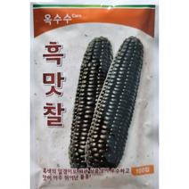 흑맛찰옥수수씨앗100립 팜한농 흑색의 알갱이로 외관 생품성이 우수하고 맛이 아주 뛰어난 품종