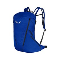 Salewa 살레와 남성 페드록 프로 22L 백팩 전기