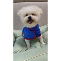 시티독 강아지 소형견부터 중현견까지 XS-L 애견 펫타올 수건 비치 바캉스 목욕 가운, 블루