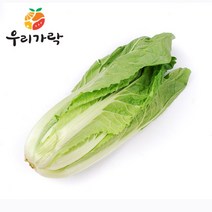 [우리가락] 얼갈이배추 1단, 상세 설명 참조