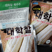 찰옥수수 종자(대학찰옥수수/ 정품종자) 연농1호 2 000립 -1봉/강원도옥수수 대비종