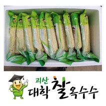 괴산 대학찰옥수수 삶은 냉동 찰옥수수 특품 15개 21개 30개 찐옥수수, 냉동 대학찰옥수수 350g(3입), 7팩