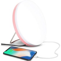 Brightech 충전용 USB 포트 내장 조명 테라피 램프 - 10 000 LUX LED UV 프리 가정 및 사무실용 풀 스펙, 01 파스텔 핑크