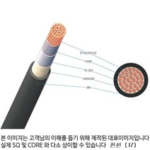 전선 TFR-8 10SQ x 2C M단위판매 130530전선 조명 부자재 인테리어 인테리어용품, M단위판매 E100198