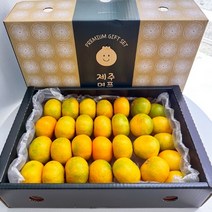 [제주직송]달콤한 제주 고당도 하우스감귤 가정용 명절 선물용 귤 2kg 3kg 5kg 10kg, [선물가방포함] 제주 하우스감귤_중과3kg
