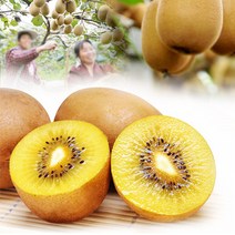 첫 수확 산지직송!! 골드키위2kg(39과이상)쥬스용 부터~, 골드키위2kg(26과내외)중과