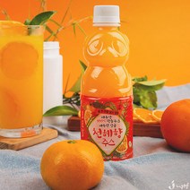 제주향 천혜향 감귤주스 리얼착즙 24개 과일주스, 330ml