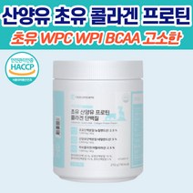 wpcwpi 산양유프로틴 콜라겐 단백질 분말 파우더 곡물맛 유산균 bcaa 류신 초유 동물성 식물성 분리유청 락토프리 식사대용 아침대용 단백질 가루