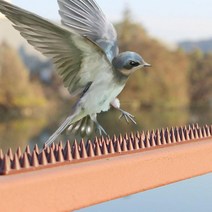 베란다 에어컨실외기비둘기퇴치 퇴치법 퇴치망, B타입