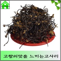 국내산 고사리 마른 고사리 건고사리 100g.200g / 팩, 100g