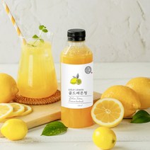 달콤공장 수제청 골드레몬청, 블루베리, 500ml