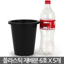 플라스틱 녹차 재배분 5호(5개) - 화분 플분 양란 난화분 란화분 난재배분 양란화분 난재배 녹차재배분 긴화분, 03_청운_재배분(6호) X 5개